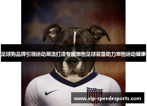 足球狗品牌引领运动潮流打造专属宠物足球装备助力宠物运动健康