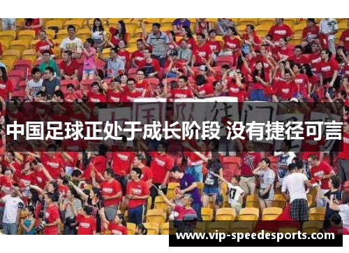 中国足球正处于成长阶段 没有捷径可言