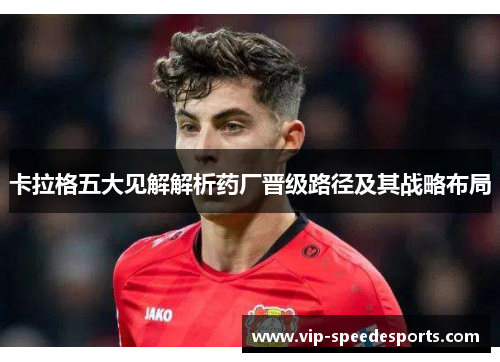 卡拉格五大见解解析药厂晋级路径及其战略布局