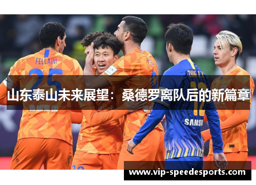 山东泰山未来展望:桑德罗离队后的新篇章 山东泰山未来展望:桑德罗离队后的新篇章